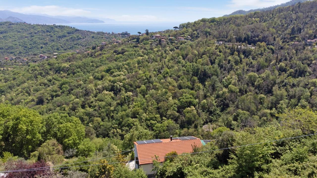 Monolocale Fattorialmare Viola Lägenhet Camogli Exteriör bild